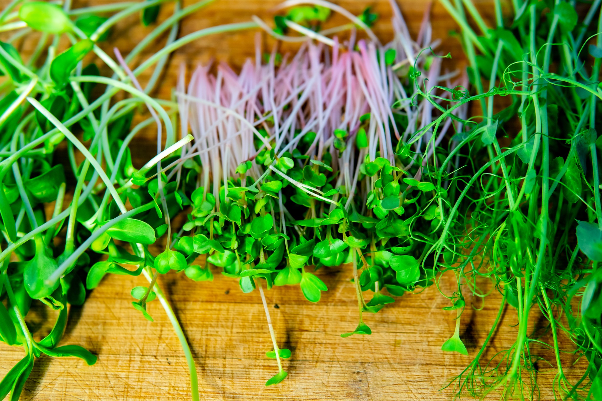 Midwest Microgreens banner